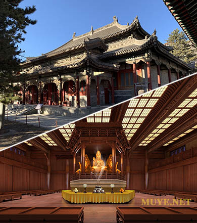 馬來(lái)菠蘿格案例